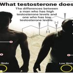 000 Testosterone & Older Men LOBIDO