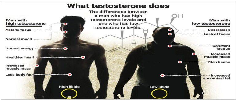 Testosterone & Older Men