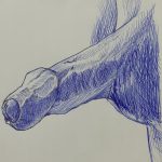 traveling Bare Dick Drawings 2