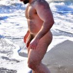 bear art beach sensation – Copy – Copy