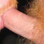 Sucking Ginger