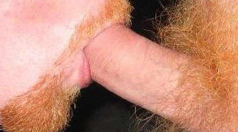 Sucking Ginger