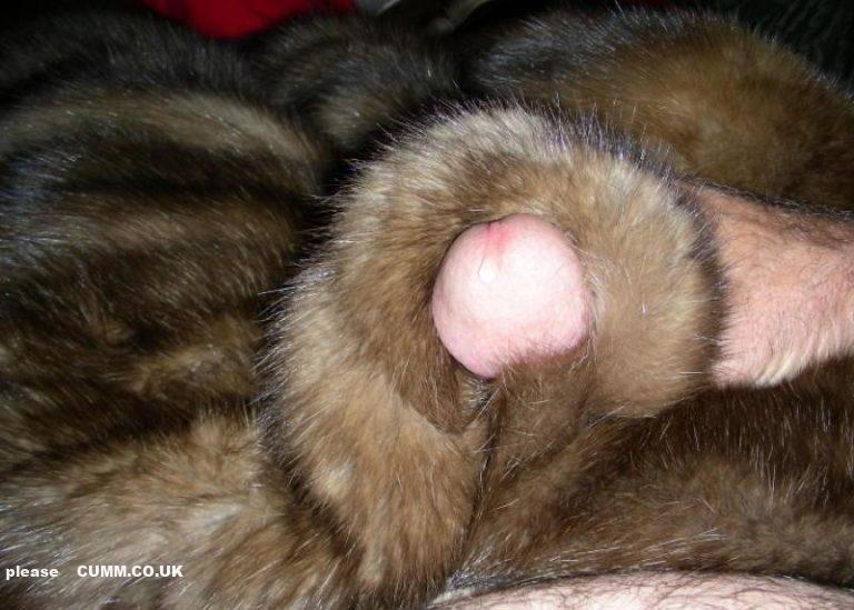 Male Fur Fetish