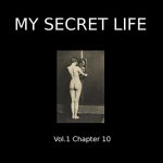 my secret life volume 9