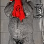 Shower-Showers-stocky-daddy-rojo-red