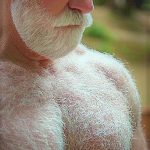 hairy chest gods silver fox