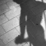 shadow-cock-shadow