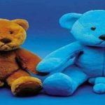 00 teddy care bear