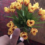 AJ – Flowers and HaPenis