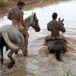 wild horses nude ladz