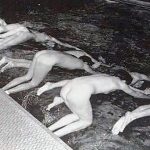 vintage swimmers naked exercise-6