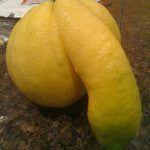 lime + lemon = viagra