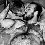 vintage-hairy-god-bears-kissing
