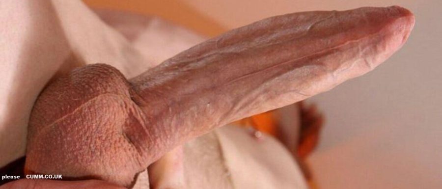 Arabian Foreskin