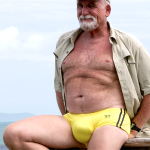 clouds papa bulge budgie