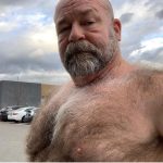 daddy bear art hairy dadz v