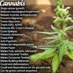 cannabis facts