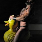 ducks sex toy ride