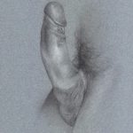 Penis study in penis Art By Leo