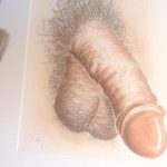 a cock art by leo