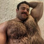 god hairy dads art bear chest