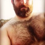 hairy chest bear art