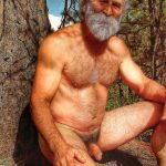 woods silver daddies – Copy