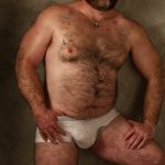 DADS IN BRIEFS bear art 2