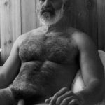 vintage silver daddies hairy bear