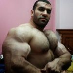wolf gods hairy chest