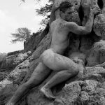 vintgae cock on the rocks