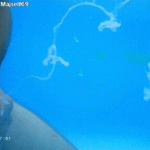 SWIMMING NAKED spunky