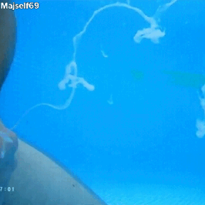 Spunky Swimming