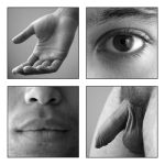 portraits men nude photo art lad c
