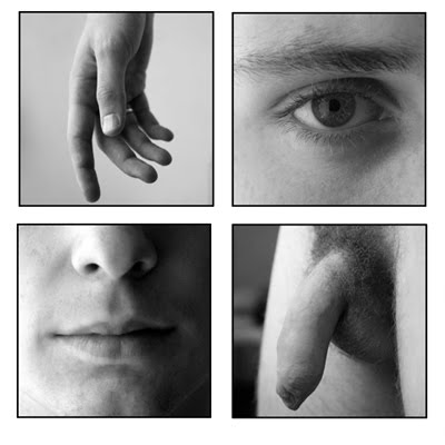“Fragmented Portraits”