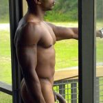 big dick dads window