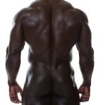 The Art Of Arse
