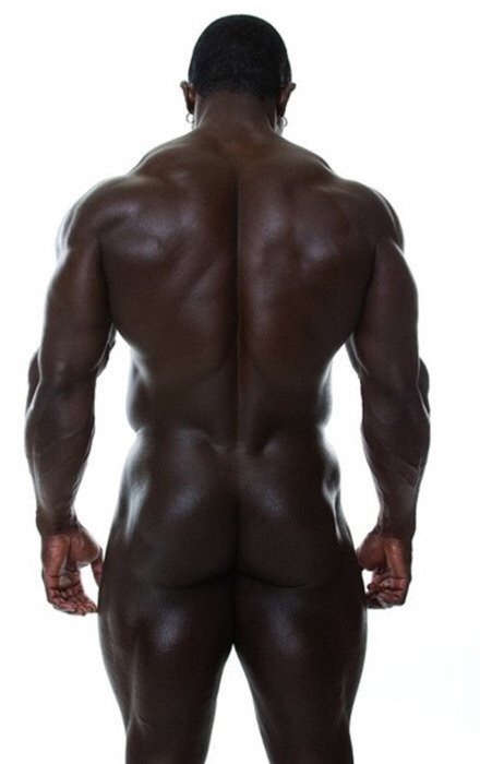 The Art Of Arse